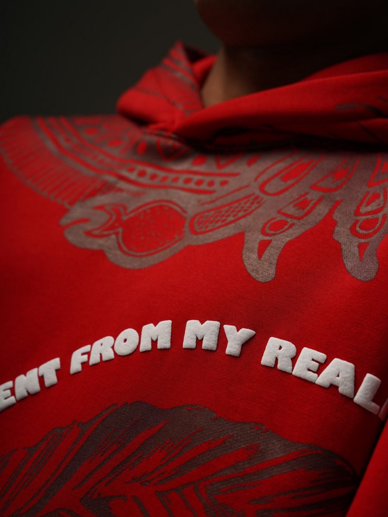 Aternate Reality Hoodie